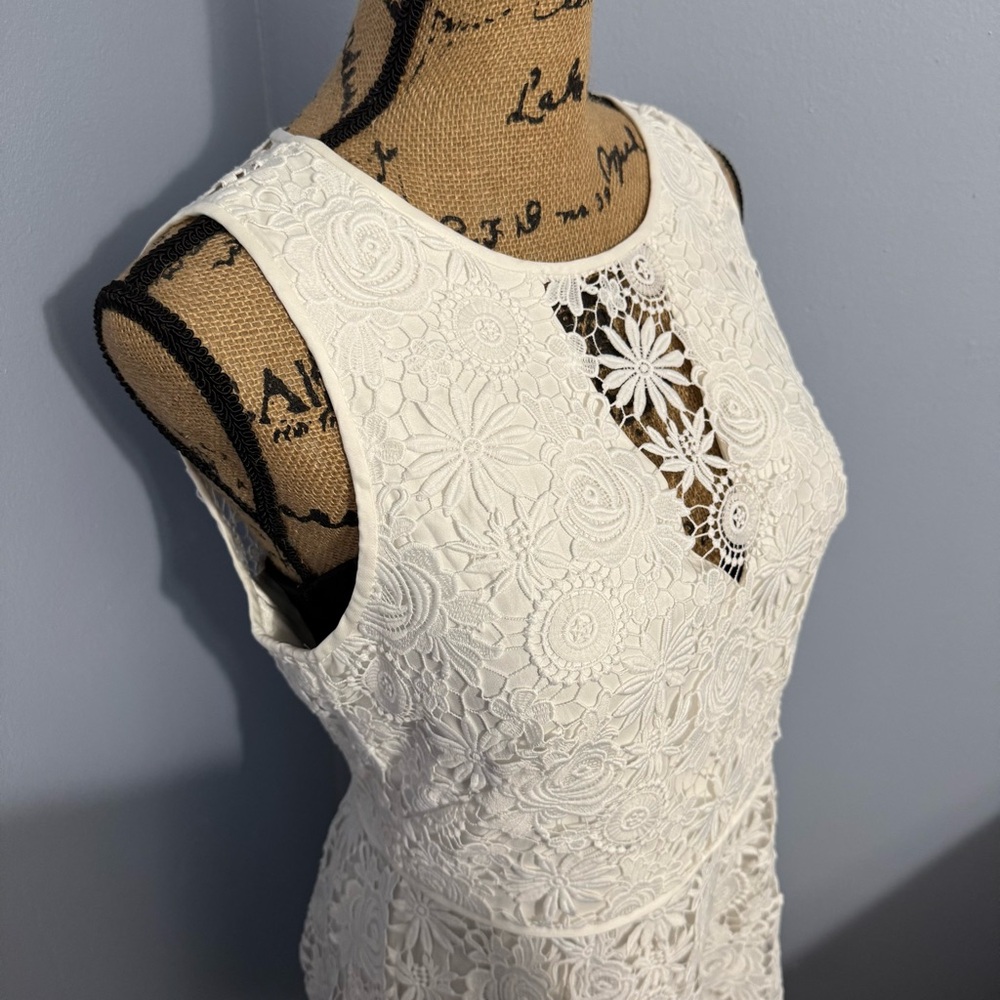 WHBM Floral Lace Dress - Picture 11 of 16